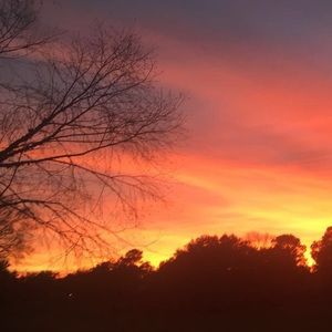 Meet your Posher, Sierra